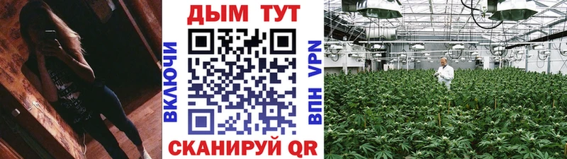 МАРИХУАНА OG Kush  Купить закладки  Гудермес 